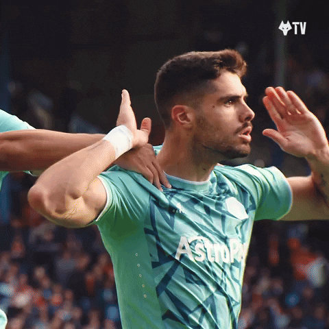I Cant Hear You Premier League GIF by Wolves