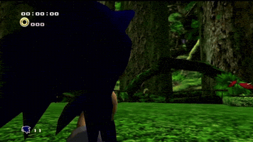 Sonic The Hedgehog Shadow GIF