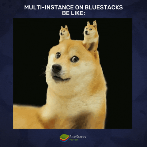Happy Shiba Inu GIF by BlueStacks