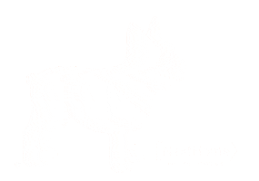 Real Estate Luke Sticker by Cherrie and Zach