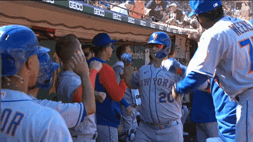 Home Run Celebration GIF by New York Mets