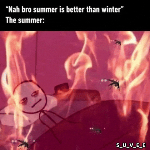 Summer Sun GIF