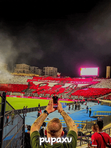 Morocco Wydad GIF