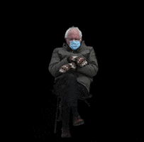 Bernie Sanders GIF by DAM