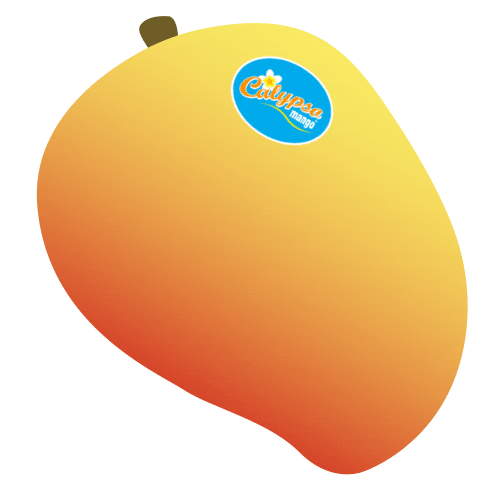Calypso Mango Sticker