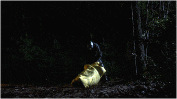 Friday the 13th GIFs fan favorite