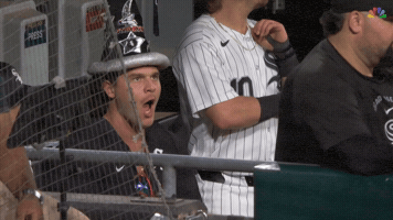 White Sox Sport GIF by MLB