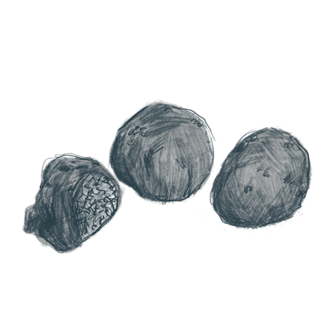 Manjares de la Tierra Sticker