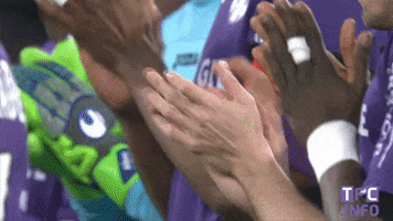 ligue 1 soccer GIF by Toulouse Football Club