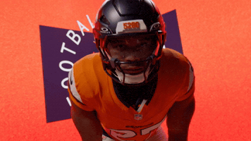 Denver Broncos Nfl GIF by Broncos