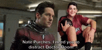 Distract Ant Man GIF