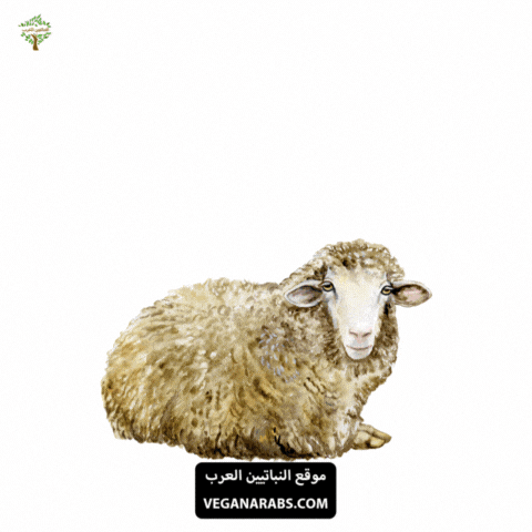 Eid Al-Adha GIF by VeganArabs