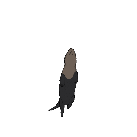 Animation Sticker
