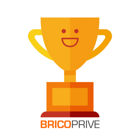 Bricoprive Sticker