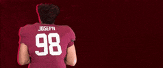 Football Roll Pards GIF by Lafayette Leopards