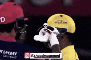 Rajasthan Royals GIF