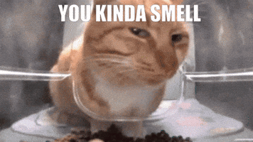 Goonbug GIF