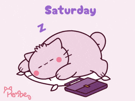 Sleepy Cat GIF by Pembe