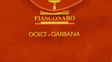 Dolce And Gabbana Thank You GIF by Casol