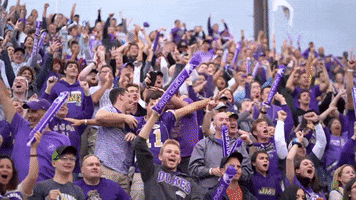 Football Fans GIF by James Madison University