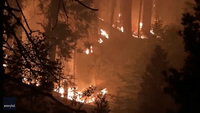Caldor Fire at 139,500 Acres as Crews Continue Fight for Containment