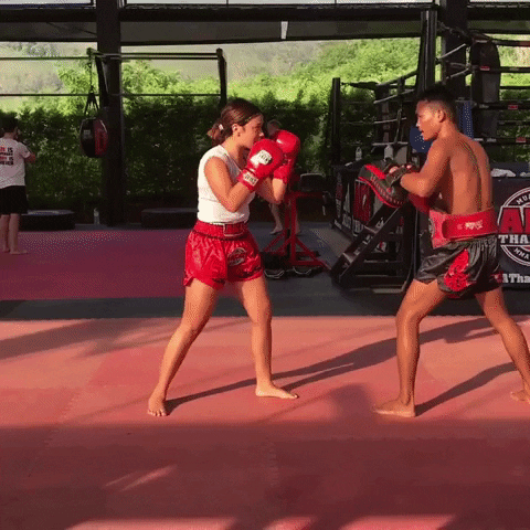 Boxing GIF