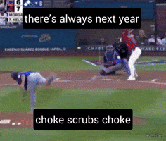 Chicago Cubs Baseball GIF