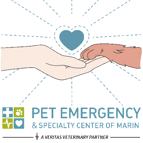 Pescm Sticker by Pet Emergency and Specialty Center of Marin