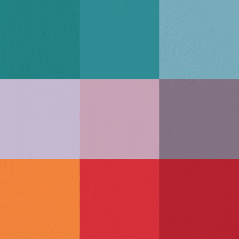 Studio Locale GIF