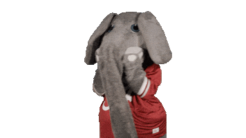 Crimson Tide Ua Sticker by The University of Alabama