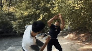 Uzbek Kungfu GIF