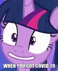 Meme GIF