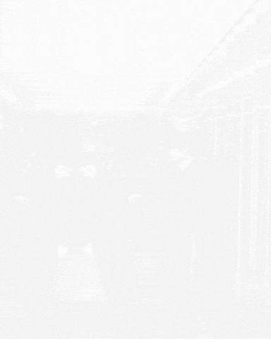 Suzy GIF