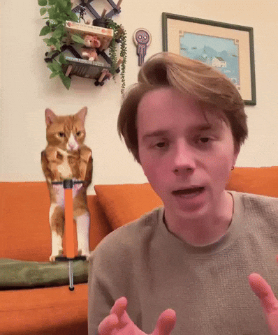 Jumping Up And Down GIF