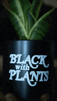 Plants Davon GIF by Plant Economy