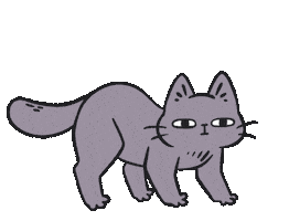 Cat Dancingcat Sticker