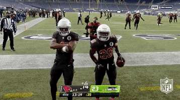 Arizona Cardinals Dancing GIF by NFL