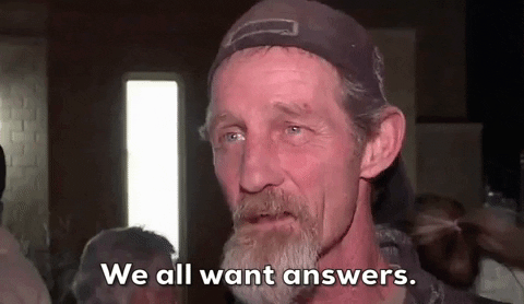 Officials Seeking Answers After Four Elk Found Illegally Killed in Redwood National Park