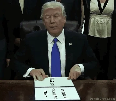 trump GIF
