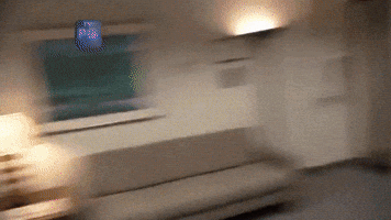 mellykorris  GIF