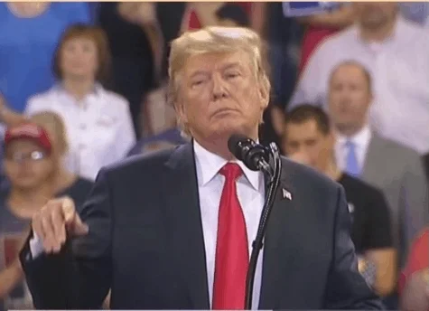 Donald Trump GIF