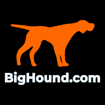 BigHoundUSA GIF