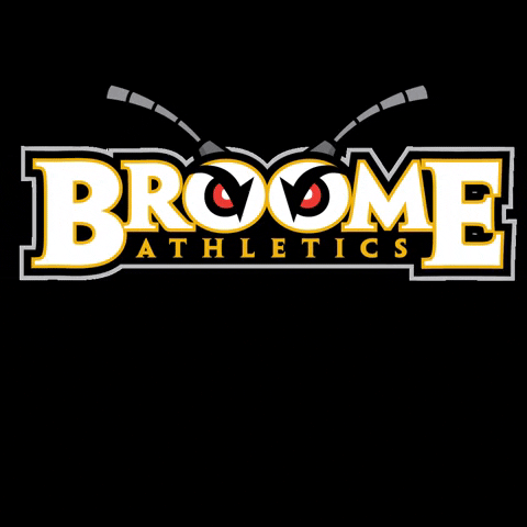 Hornets GIF by SUNY Broome