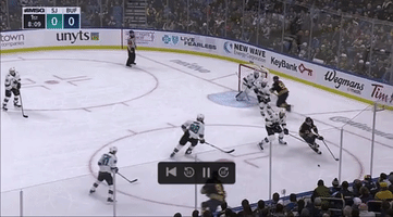 Hockey Sabres GIF