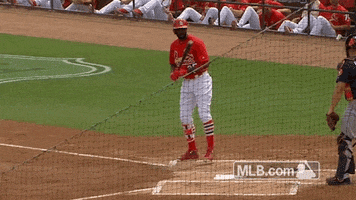 dexter bat GIF by MLB