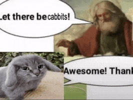 Cat Rabbit GIF