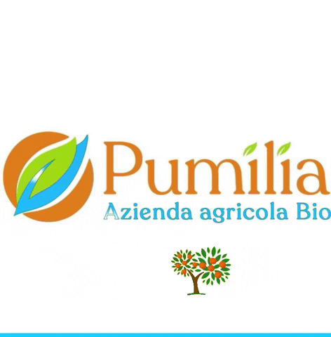 Aziendabiopumilia Arancia Azienda GIF by Aziendabiopumilia
