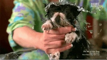 200_s.gif