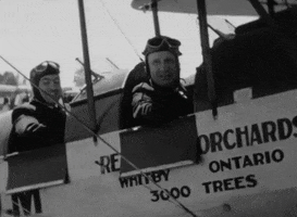 Fly Flying GIF by Archives of Ontario | Archives publiques de l'Ontario