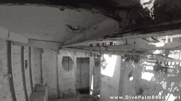 go pro flood GIF by Digg